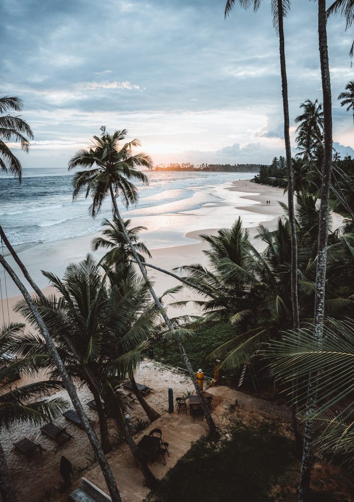 Hiriketiya Beach view through coconut trees