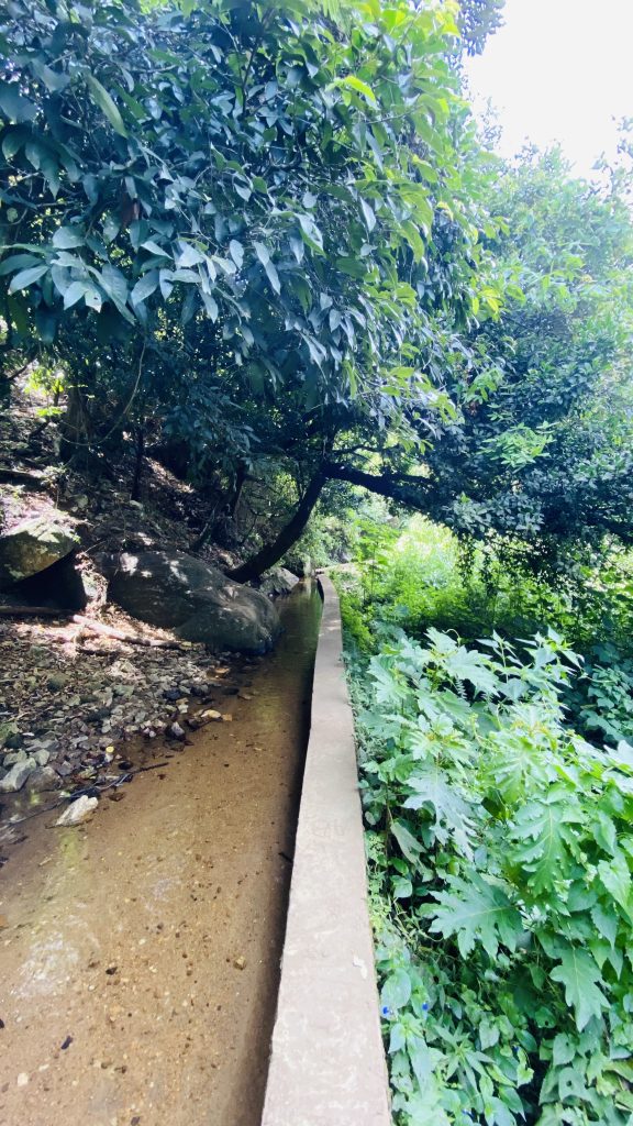 Walking Path to Bomburu Falls
